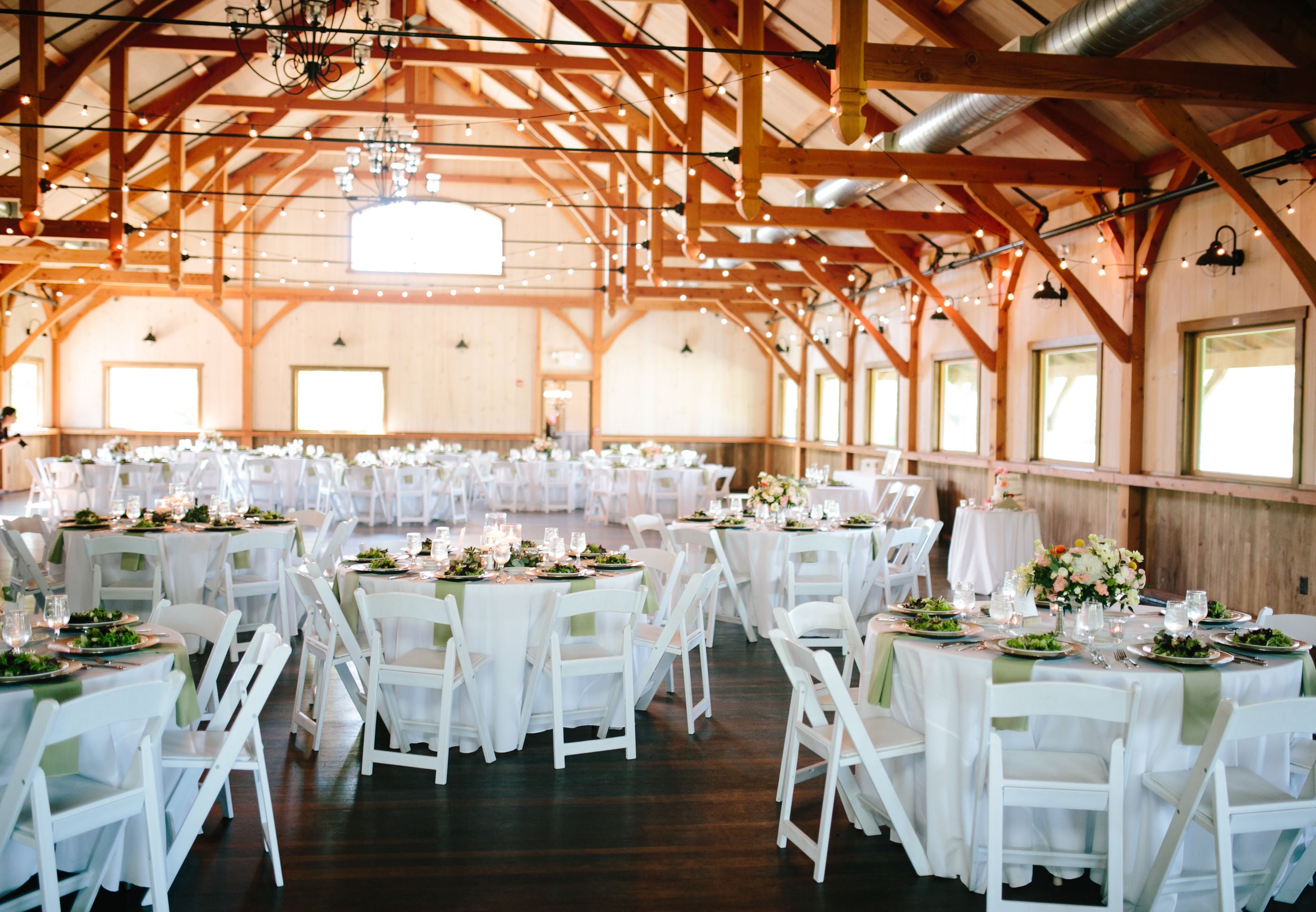 lisa hornack photography